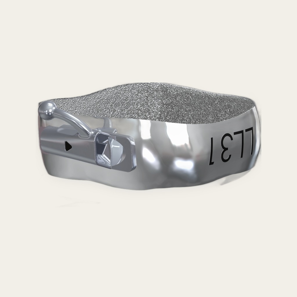 Integrity bicuspid bands — individual — image 2